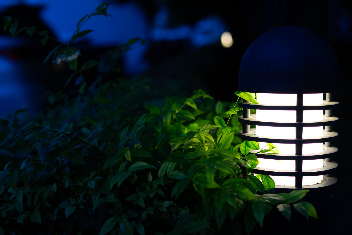 Solar Lights for the yard